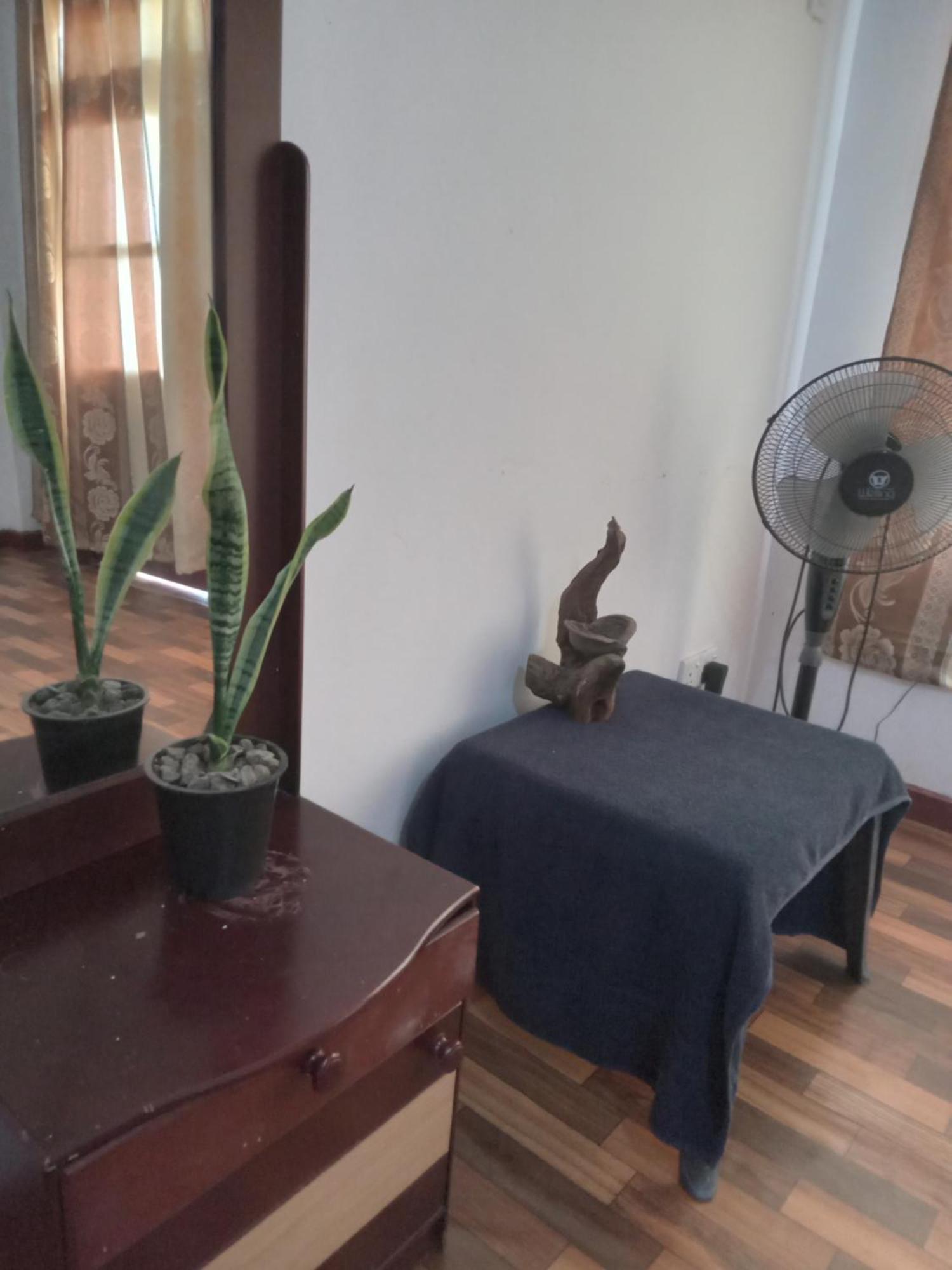 דירות אלה Elegant Hill מראה חיצוני תמונה